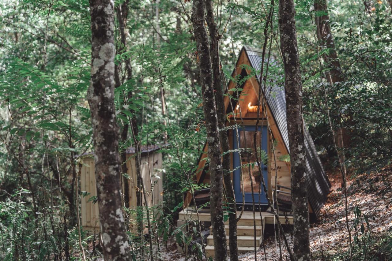 Blue Brambler Glamping A-Frame Apartment Rockbridge Exterior photo